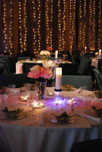 Sparkling Properties - Wedding Lighting